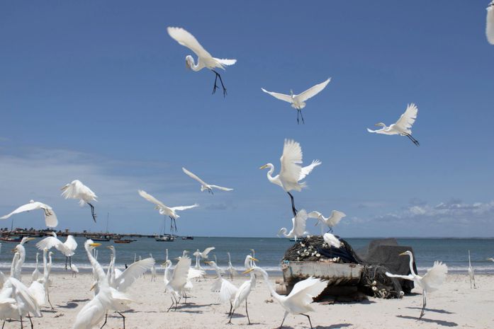 Museu da Imagem e do Som de Alagoas recebe exposição “Jaraguá, Paisagem-Miragem”
