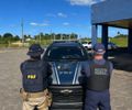 PRF e Receita Federal prendem homem por porte ilegal de arma de fogo e posse de droga para consumo