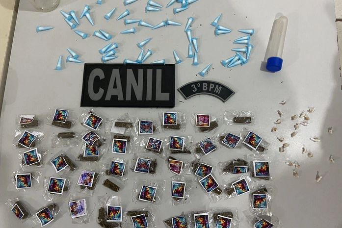 Drogas, armas e veículo roubado são apreendidos e recuperados durante ações no interior de AL