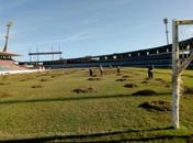 Gramado do Rei Pelé passa por tratamento visando a temporada 2020