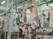 FrigoVale apoia vereadores no debate sobre comércio da carne em Arapiraca