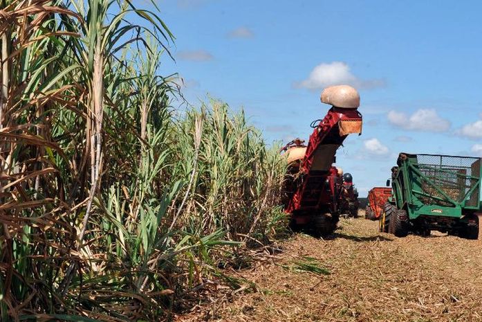 Safra de grãos deve crescer 6,3% e fechar com recorde em 2019