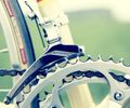 Conheça quatro rotas de cicloturismo para explorar paisagens e cultura em São Paulo
