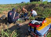 Acidente deixa mulher gravemente ferida na rodovia AL-215