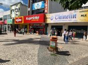 Município será o único no estado a receber o recurso do Ministério do Meio Ambiente.