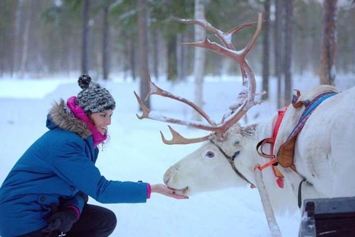 O que fazer na Lapônia durante o inverno