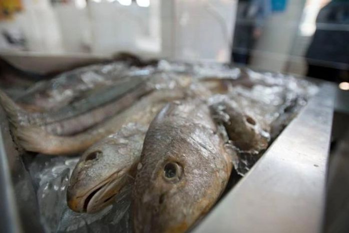 Resultados dos exames que investigam casos da 'Urina Preta' em Alagoas ainda não foram entregues