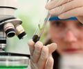 Prêmio para mulheres e meninas cientistas abre inscrições até outubro