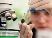 Prêmio para mulheres e meninas cientistas abre inscrições até outubro