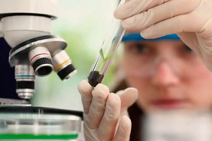 Prêmio para mulheres e meninas cientistas abre inscrições até outubro