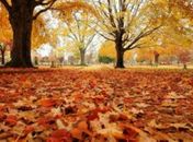 Outono começa às 7h29 da próxima segunda-feira