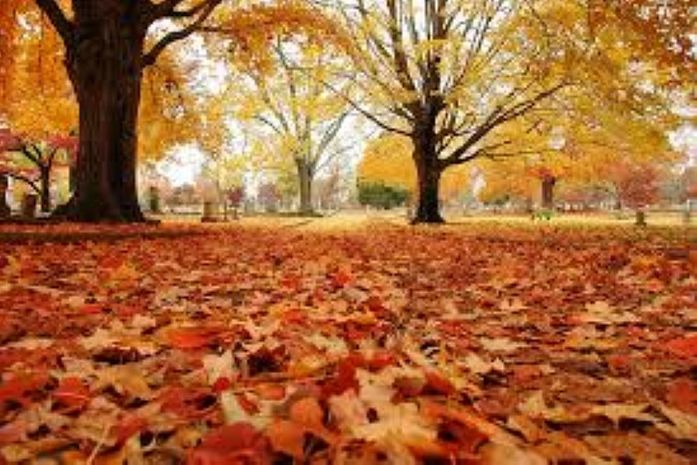 Outono começa às 7h29 da próxima segunda-feira