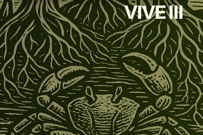 Terceira edição do Mangue Vive une cultura e ação em defesa da vida no mangue da Garça Torta