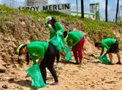 OAB/AL participa, neste domingo (15), de mutirão de limpeza e plantio de restinga em Jacarecica