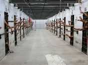 MP/AL abre procedimento para fiscalizar condições estruturais do Presídio de Segurança Média I