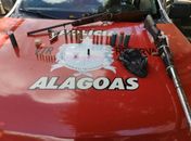 

Polícia encontra armas, munições e pólvora escondidas em quintal de idoso detido por agredir mulher