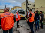 Rachaduras no Pinheiro