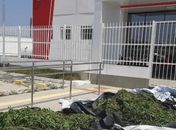 Presos por cultivar cerca de 20 mil pés de maconha no Sertão alagoano são soltos após audiência de custódia