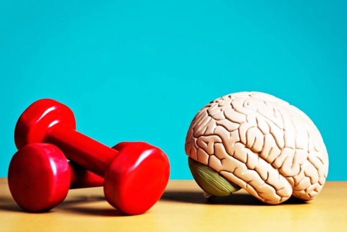 ESTUDOS COMPROVAM QUE EXERCÍCIOS FÍSICOS DEIXAM O CÉREBRO MAIS SAUDÁVEL