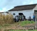Caminhonete desgovernada derruba parede, invade e destrói residência, na AL-115