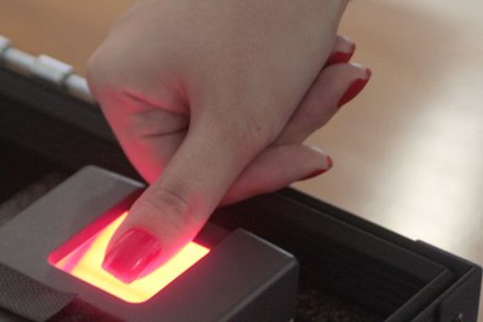 AL está entre os três estados com maior percentual de eleitoras