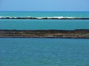Blog da Ana Lídia: Alagoas; meu lugar, minha paixão