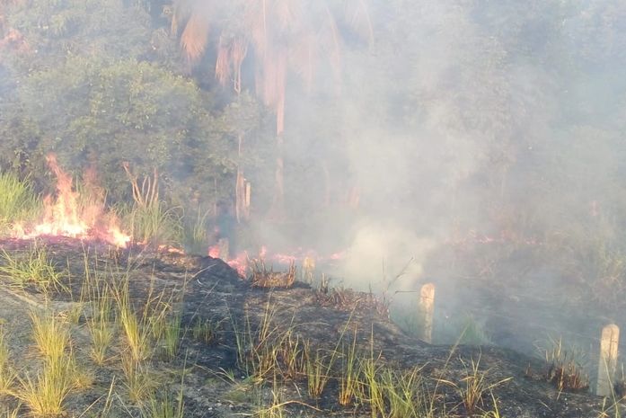 Incêndio em vegetação às margens da AL 101, em Marechal Deodoro.