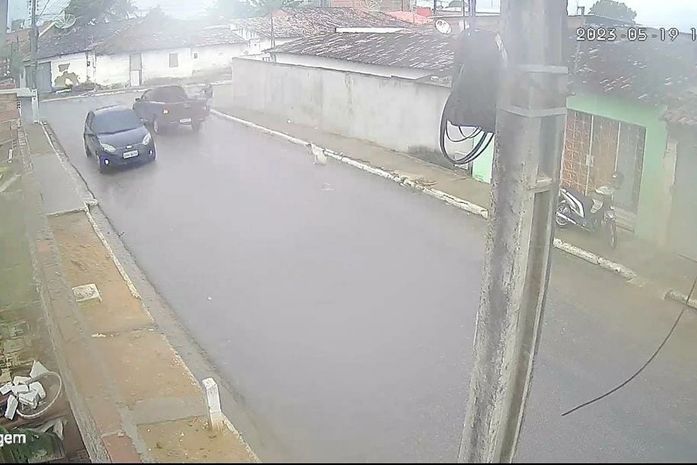 Motorista atropela cachorro em Arapiraca