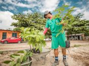 Espaços públicos de Maceió receberam 12 mil mudas de árvores nativas em 2023
