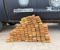 Idoso é preso com 100 kg de maconha escondidos em carro na Praia do Francês