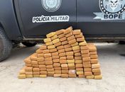 Idoso é preso com 100 kg de maconha escondidos em carro na Praia do Francês