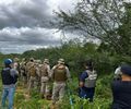 PMAL e PF destroem mais de 2,8 mil pés de maconha em Alagoas e Pernambuco