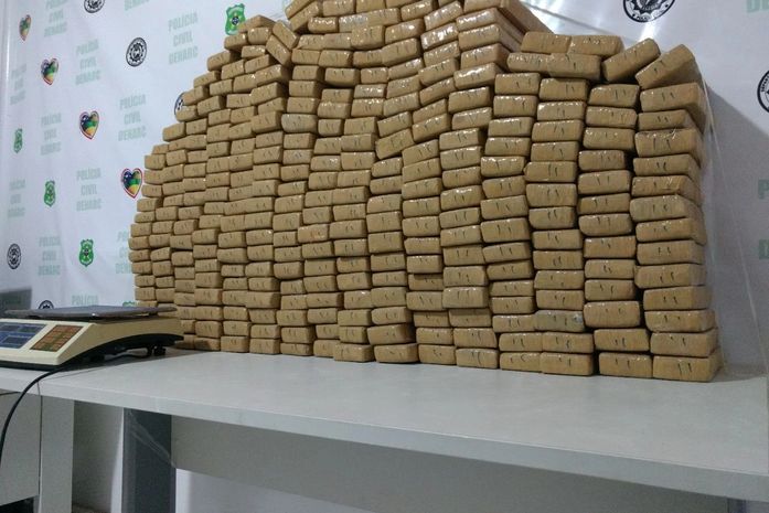Operação das polícias de Alagoas e Sergipe apreende mais de 200kg de maconha