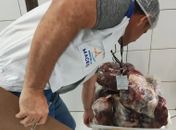Vigilância Sanitária apreende 80 kg de carnes estragadas em frigorífico no Benedito Bentes