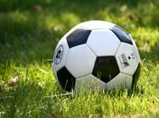 Quais jogadores são mais cotados para serem artilheiros do Brasileirão?