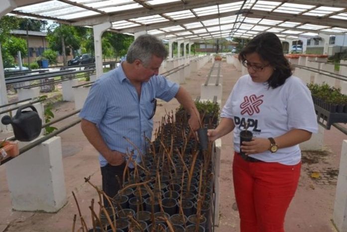 Lifal receberá recursos para produzir xarope de planta medicinal