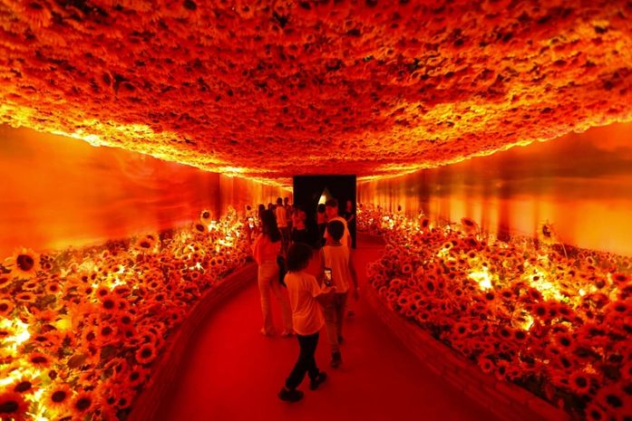 Estudantes de escolas municipais iniciam visitas à exposição Van Gogh