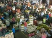 Implantação de Ceasa em Arapiraca é aprovada pela ALE