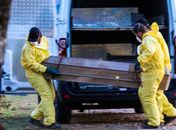 Covid-19: Brasil tem 114 mortes confirmadas em 24 h; 13.717 casos no total