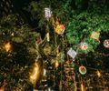 Polícia Científica alerta para os cuidados no uso de fogos de artifício nas festas juninas