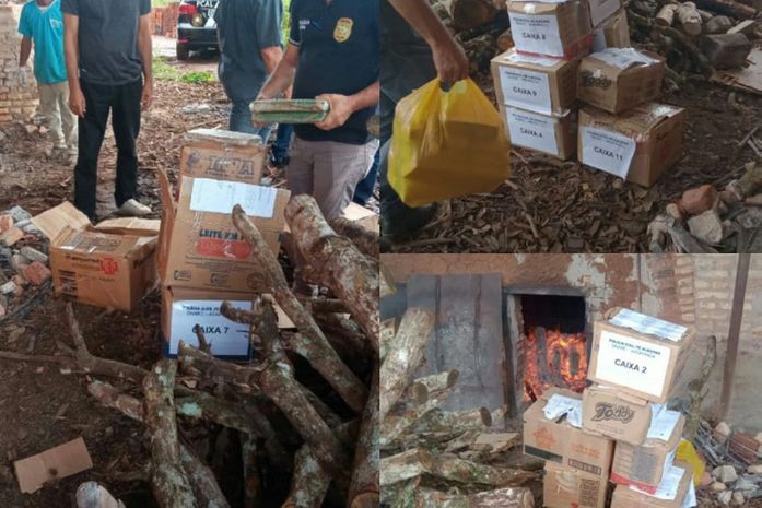 PC incinera mais de 150 quilos de drogas apreendidas em ações policiais em Arapiraca