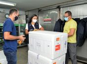 Alagoas inicia distribuição das 40.214 doses de vacina contra Covid-19 aos municípios
