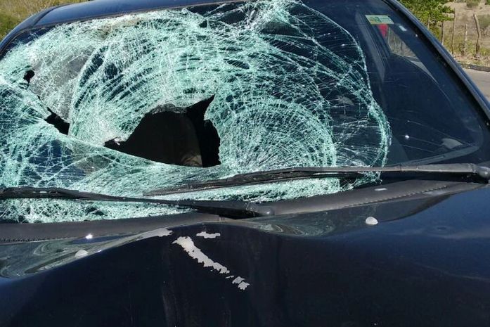 Agricultor morre ao ser atropelado em Olho D’água das Flores