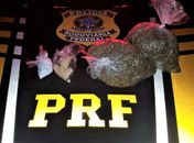 Durante abordagem, PRF apreende drogas e prende trio na BR 101 em Alagoas