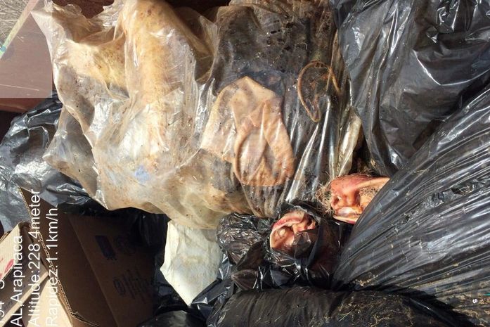 MA autua abatedouro de Arapiraca em R$ 84 mil
