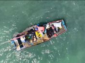 Drone do Instituto Biota registra interação entre peixe-boi e jangada em Maceió
