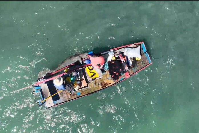 Drone do Instituto Biota registra interação entre peixe-boi e jangada em Maceió
