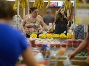 Alimentos e bebidas
