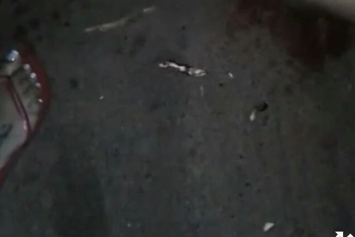 Polícia investiga suspeitas de esquartejamento registrado em vídeo