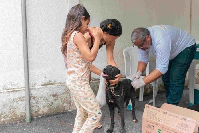 Prefeitura de Maceió inicia campanha de vacinação antirrábica no próximo sábado (2)